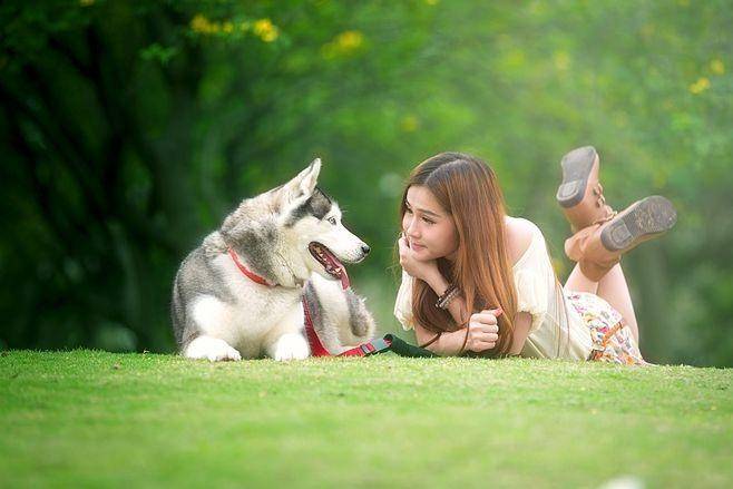 分析：现状、痛点、需求、趋势麻将胡了宠物食品行业产业链